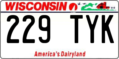 WI license plate 229TYK