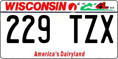 WI license plate 229TZX