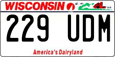 WI license plate 229UDM