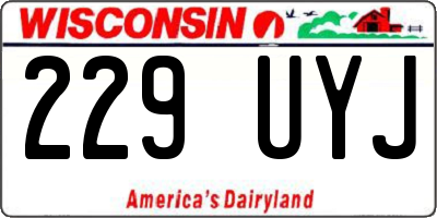 WI license plate 229UYJ