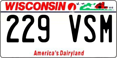 WI license plate 229VSM