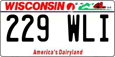 WI license plate 229WLI