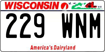 WI license plate 229WNM