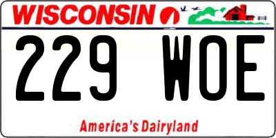 WI license plate 229WOE