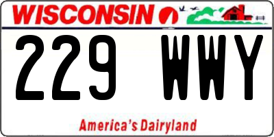 WI license plate 229WWY