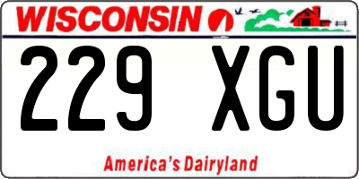 WI license plate 229XGU
