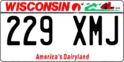 WI license plate 229XMJ