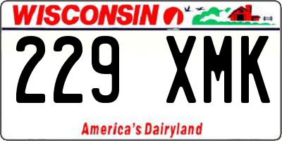 WI license plate 229XMK