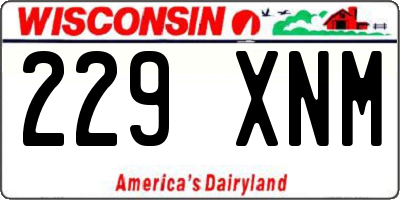 WI license plate 229XNM