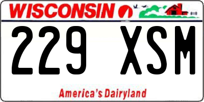 WI license plate 229XSM
