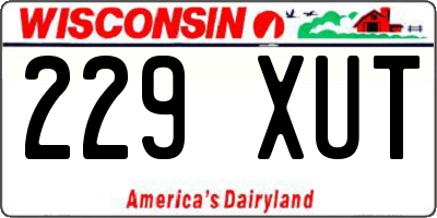 WI license plate 229XUT