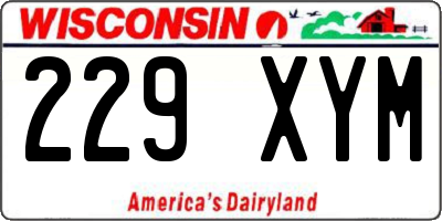 WI license plate 229XYM