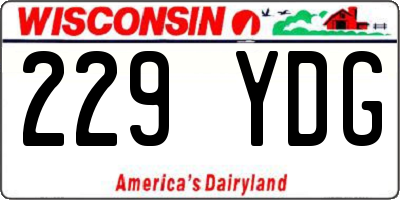 WI license plate 229YDG
