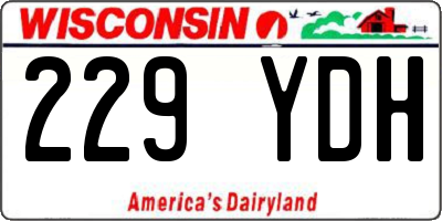 WI license plate 229YDH