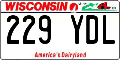 WI license plate 229YDL