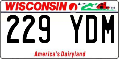 WI license plate 229YDM