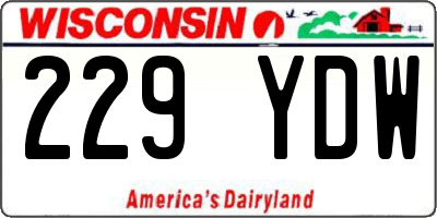 WI license plate 229YDW