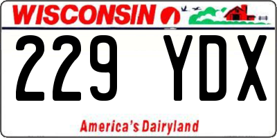 WI license plate 229YDX