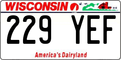 WI license plate 229YEF