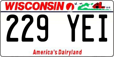 WI license plate 229YEI