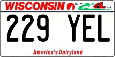 WI license plate 229YEL