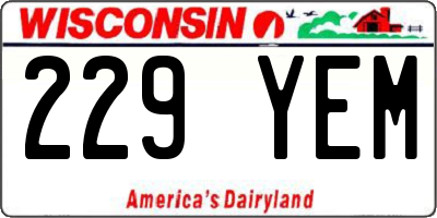 WI license plate 229YEM