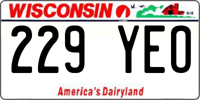 WI license plate 229YEO
