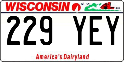WI license plate 229YEY