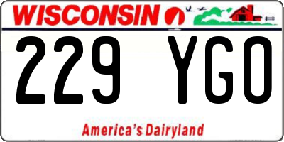 WI license plate 229YGO
