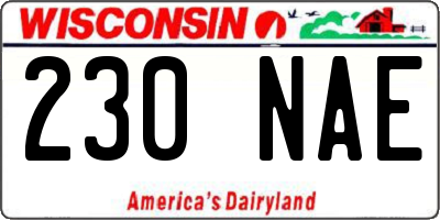 WI license plate 230NAE
