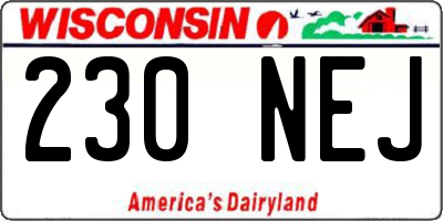 WI license plate 230NEJ