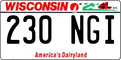 WI license plate 230NGI