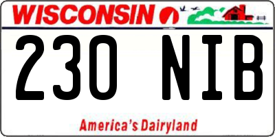 WI license plate 230NIB