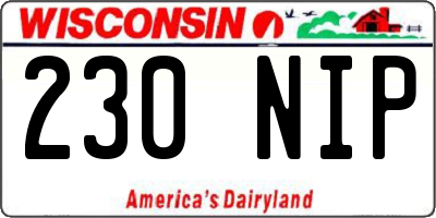 WI license plate 230NIP
