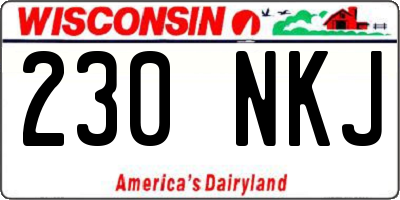 WI license plate 230NKJ