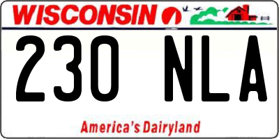 WI license plate 230NLA