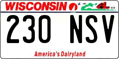 WI license plate 230NSV