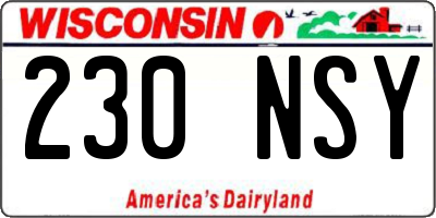 WI license plate 230NSY