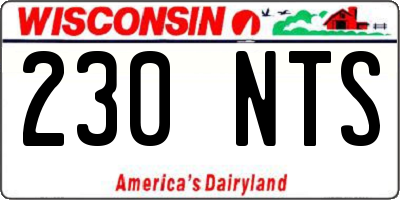 WI license plate 230NTS
