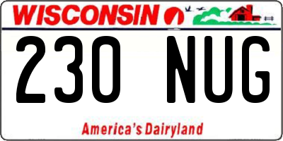 WI license plate 230NUG