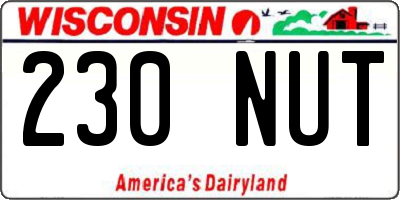 WI license plate 230NUT
