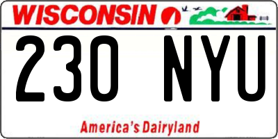 WI license plate 230NYU