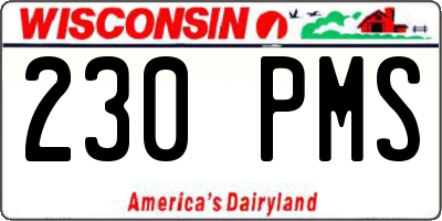 WI license plate 230PMS