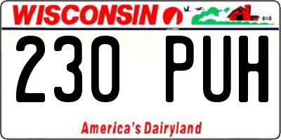 WI license plate 230PUH