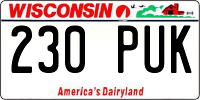 WI license plate 230PUK