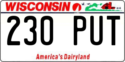 WI license plate 230PUT