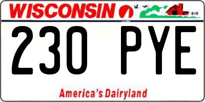 WI license plate 230PYE