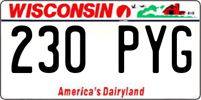 WI license plate 230PYG