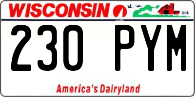 WI license plate 230PYM