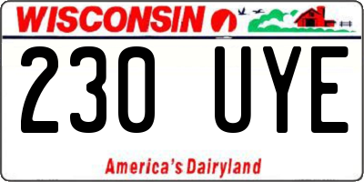 WI license plate 230UYE
